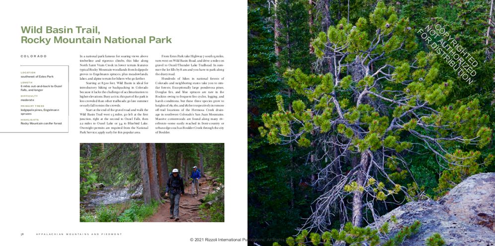 America's Great Forest Trails: 100 Woodland Hikes of a Lifetime