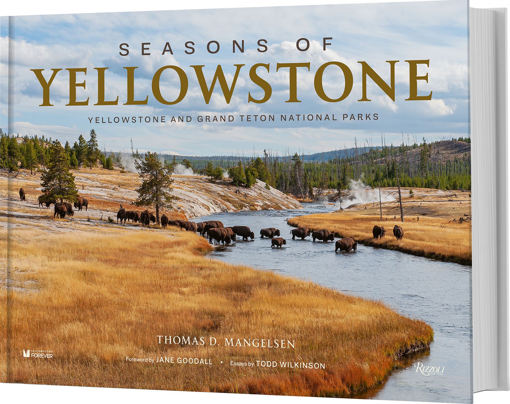Seasons of Yellowstone: Yellowstone and Grand Teton National Parks