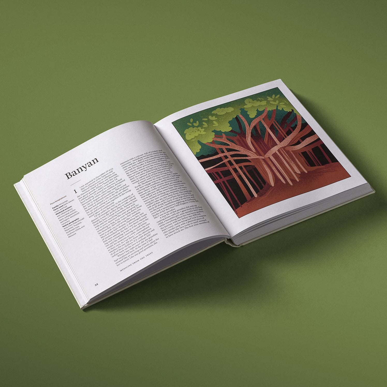 Medicine from the Trees: Herbal Remedies from the Forest for Whole-Body Health and Wellness