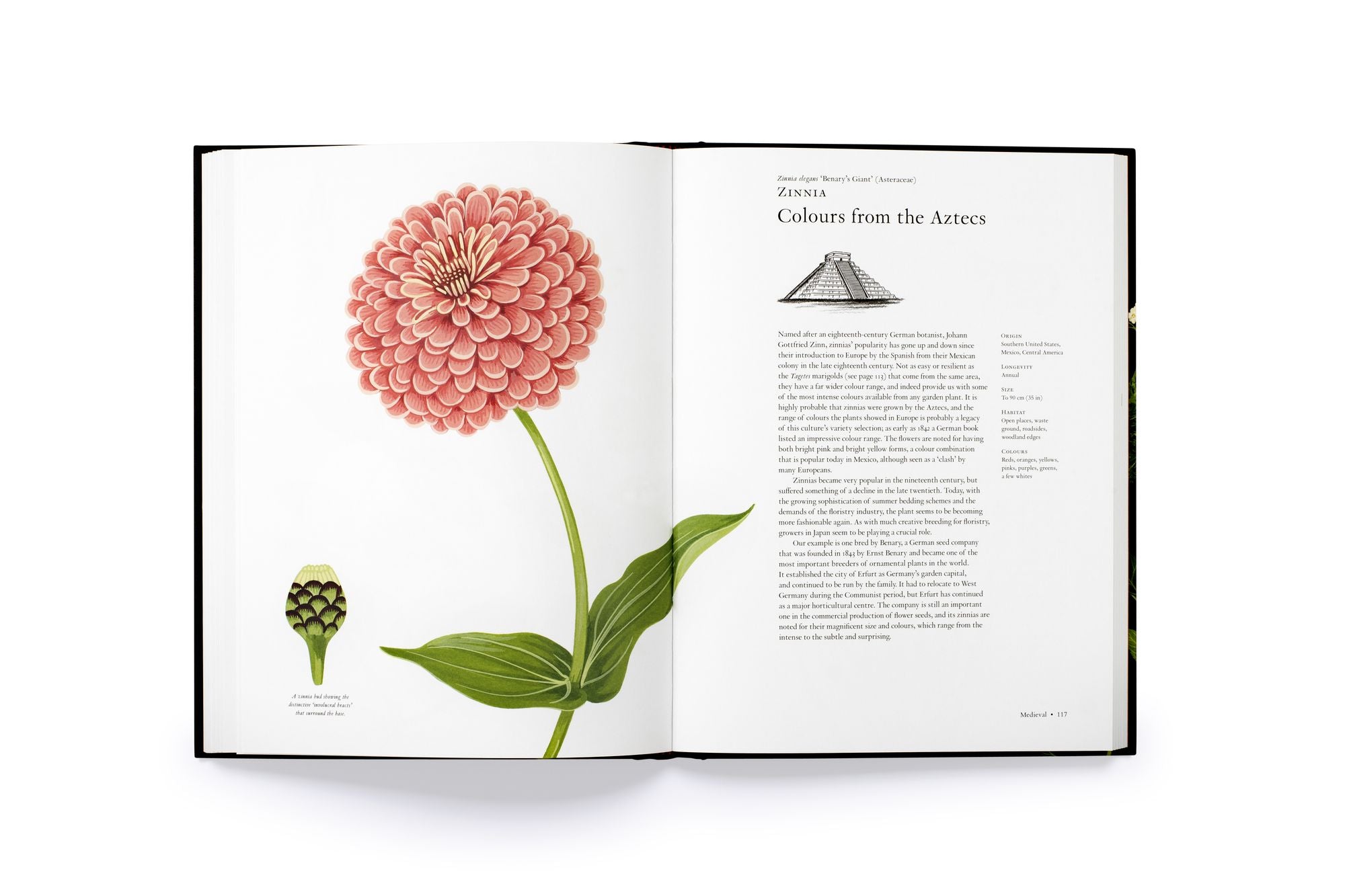 The Story of Flowers: And How They Changed the Way We Live