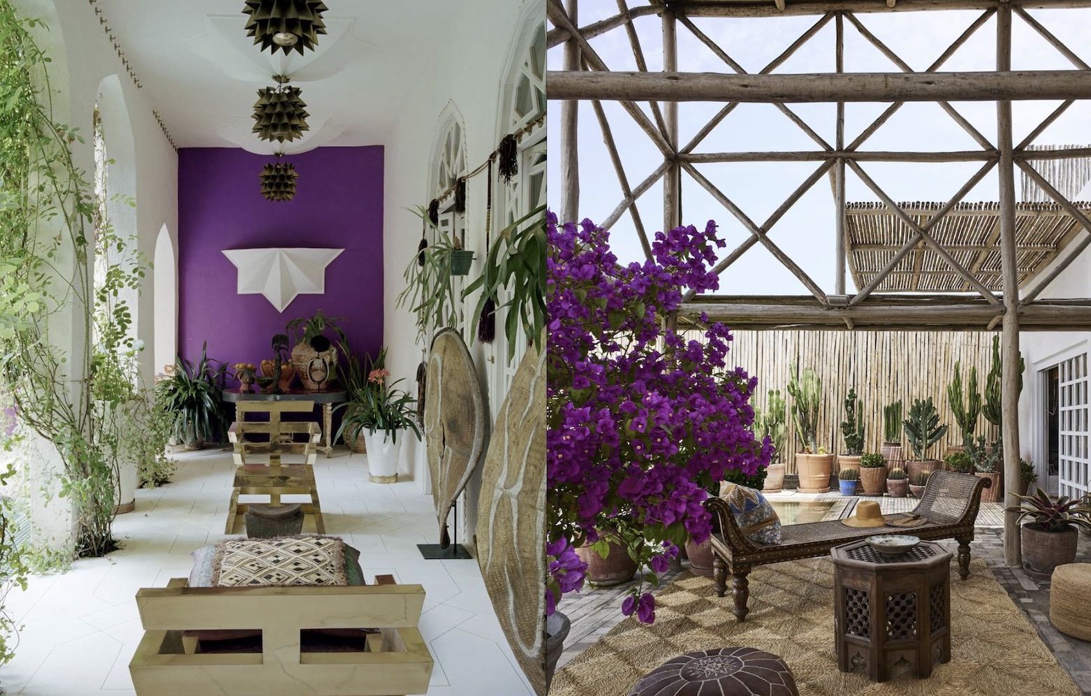 Carlos Mota: Purple Fever: Celebrate purple in all its manifestations - in nature, art, interiors, and design