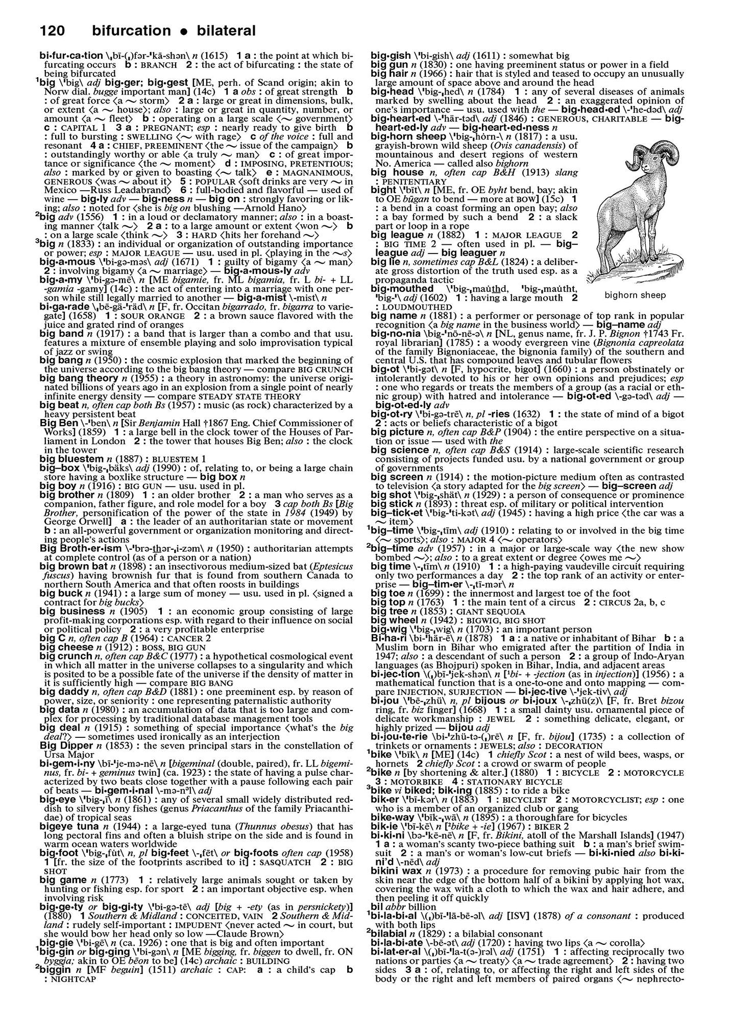 Merriam-Webster's Collegiate Dictionary, 11th Edition