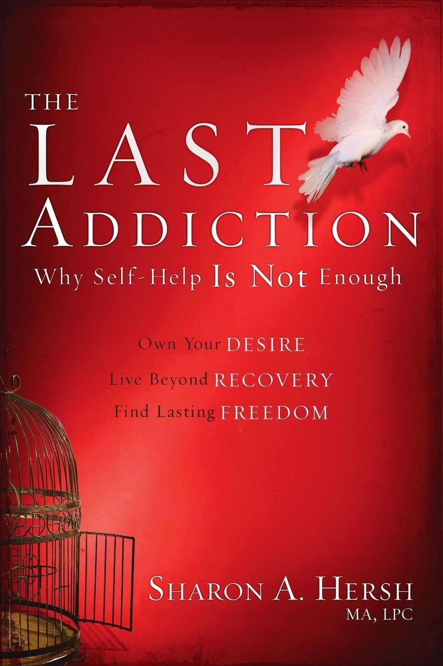 The Last Addiction: Own Your Desire, Live Beyond Recovery, Find Lasting Freedom