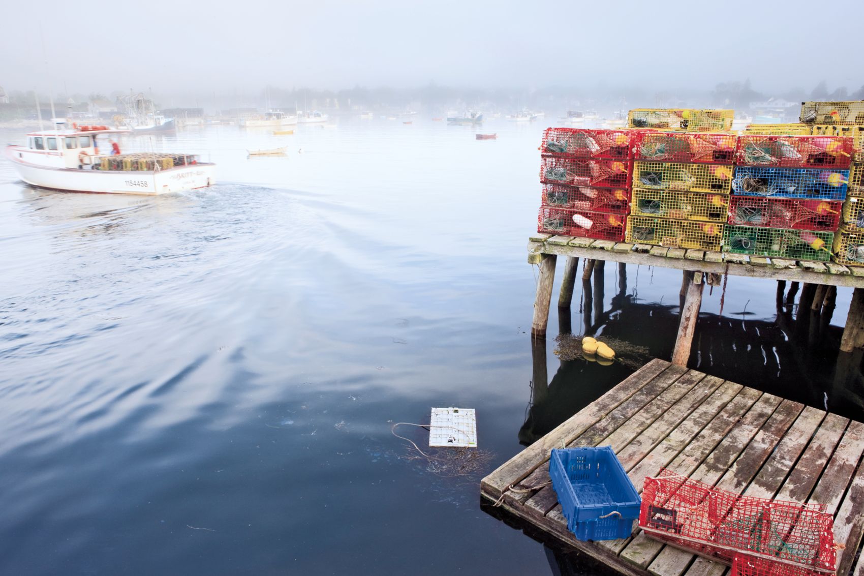 The Photographer's Guide to Acadia National Park: Where to Find Perfect Shots and How to Take Them
