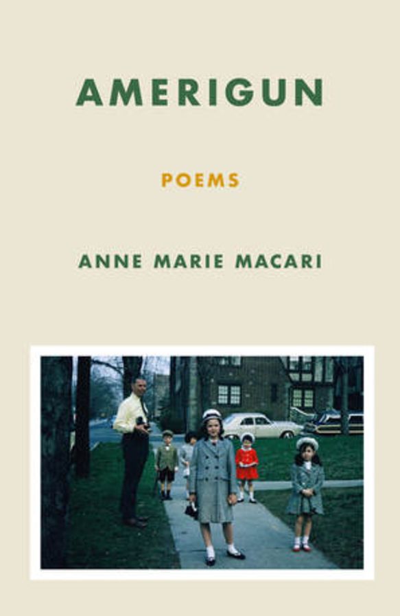 Amerigun: Poems
