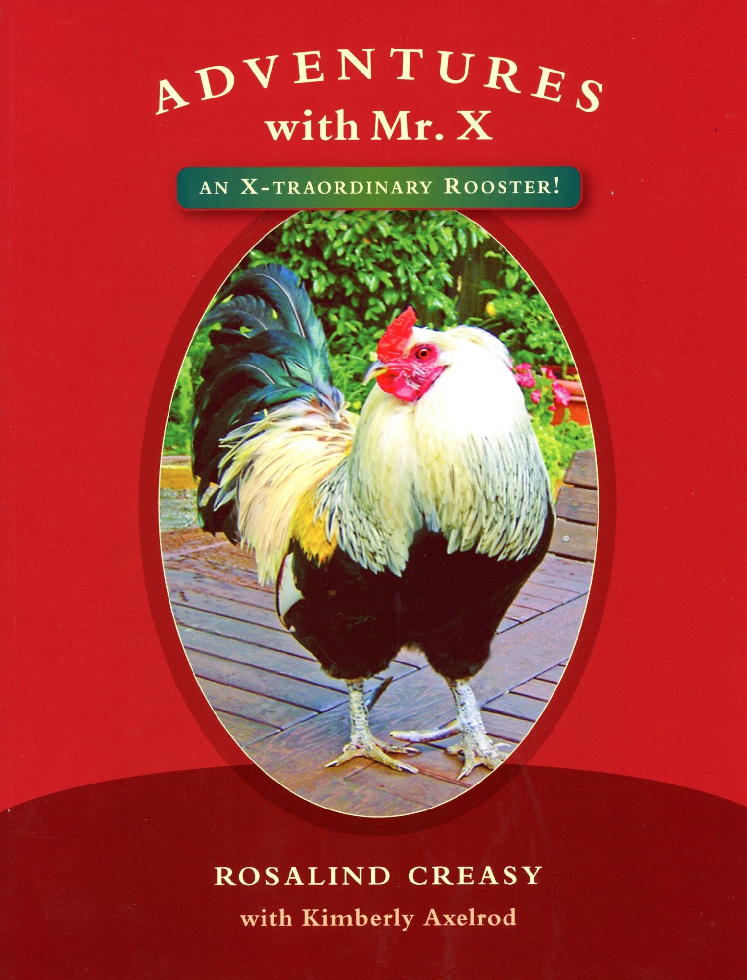 Adventures with Mr. X: An X-traordinary Rooster!