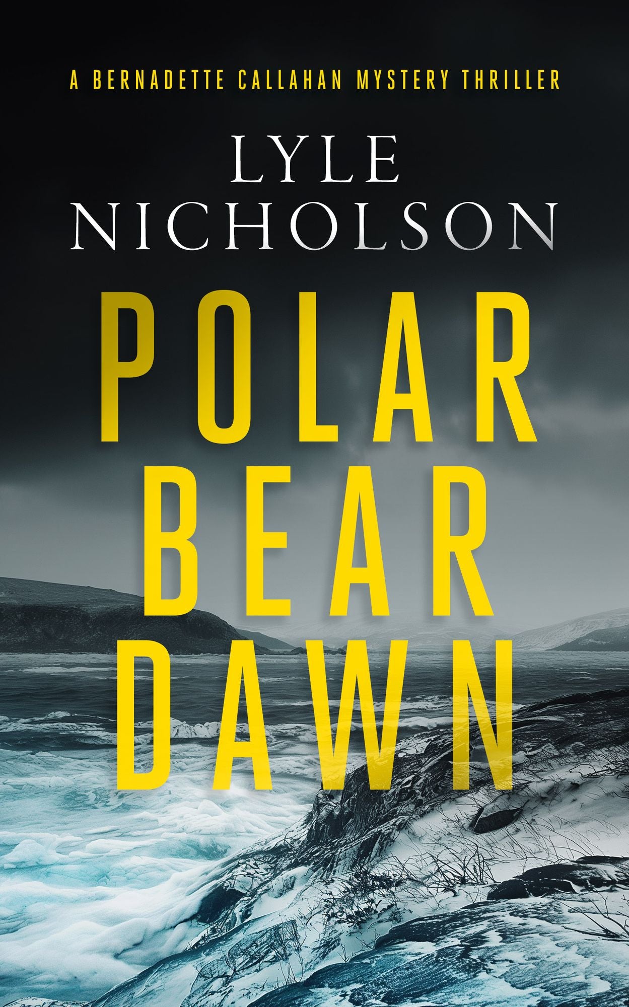 Polar Bear Dawn: A female detective mystery