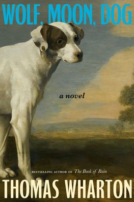 Wolf, Moon, Dog