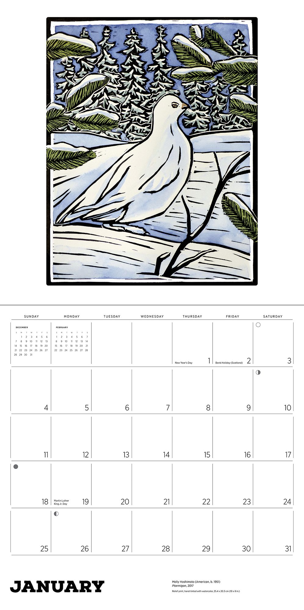 2026 Molly Hashimoto: Birds Wall Calendar