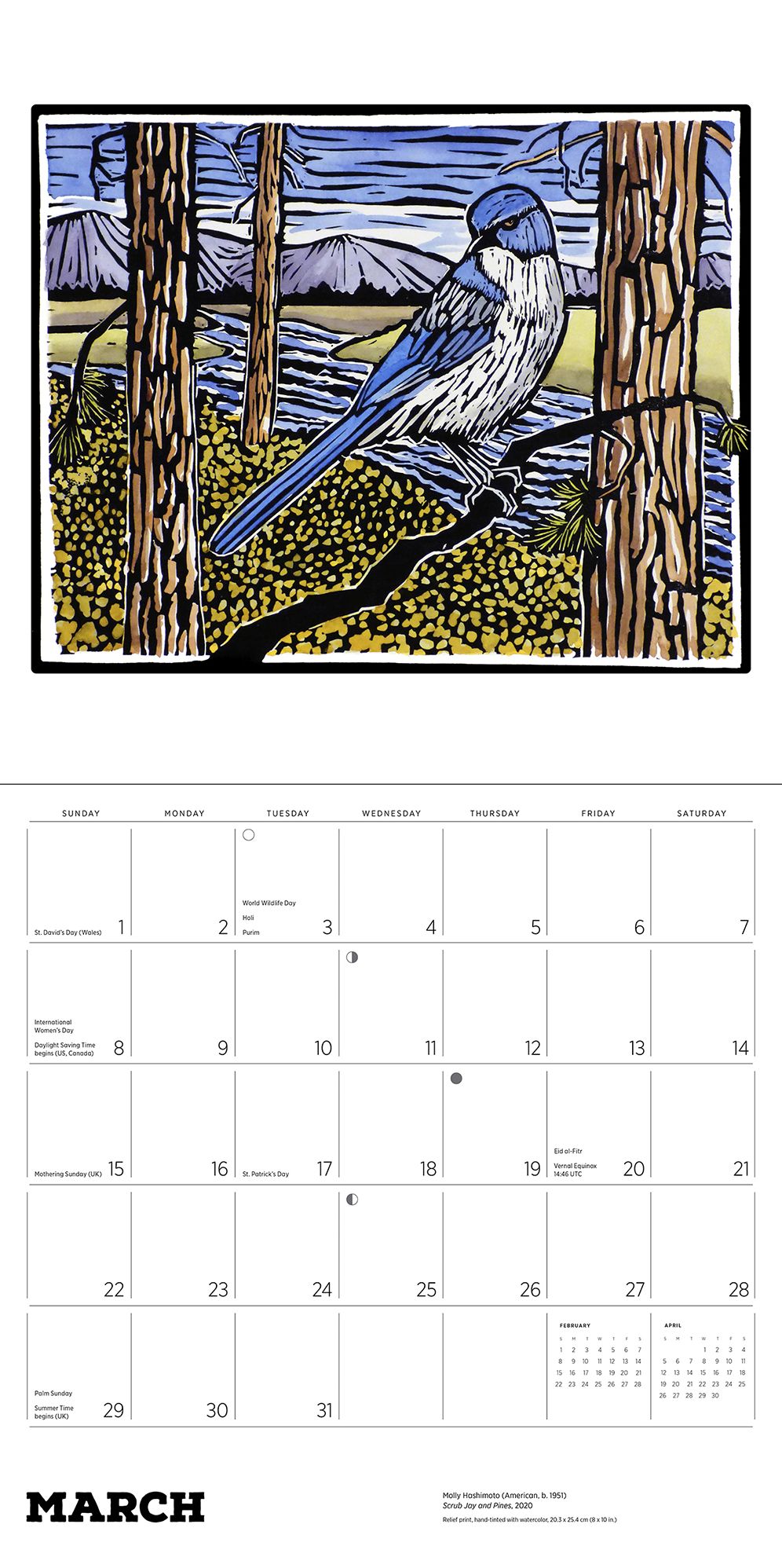 2026 Molly Hashimoto: Birds Wall Calendar