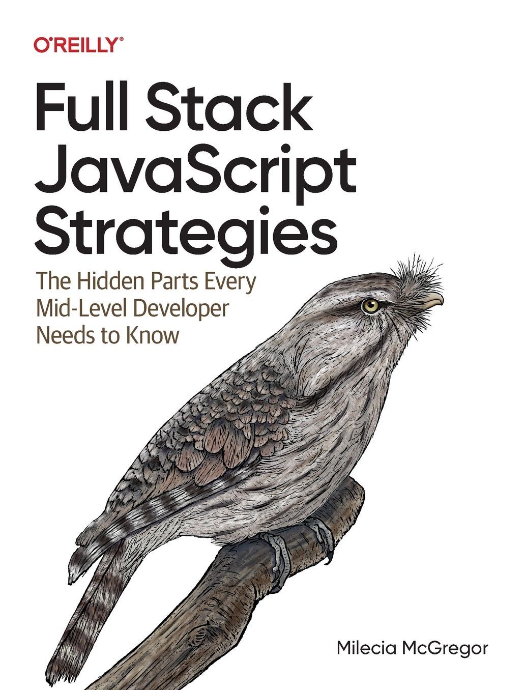 Full Stack JavaScript Strategies: The Hidden Parts Every Mid-Level Developer Needs to Know