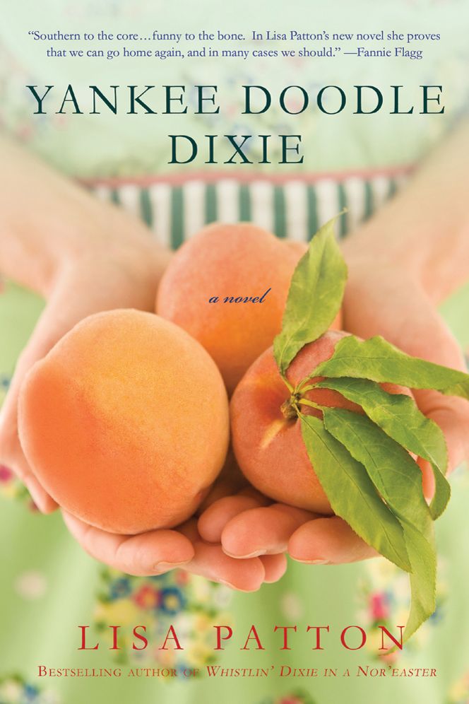Yankee Doodle Dixie: A Novel