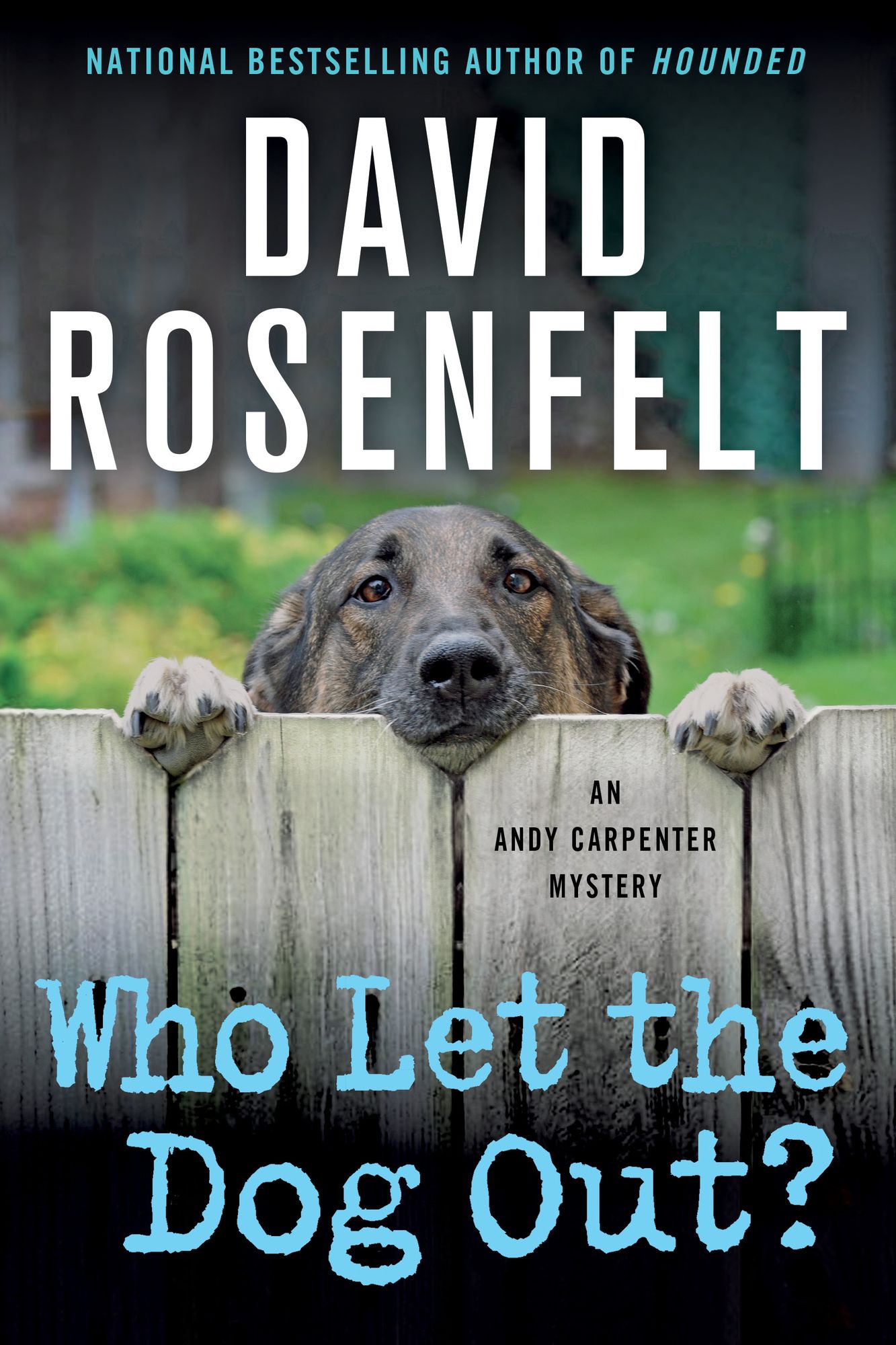 Who Let the Dog Out? (Andy Carpenter Series #13)