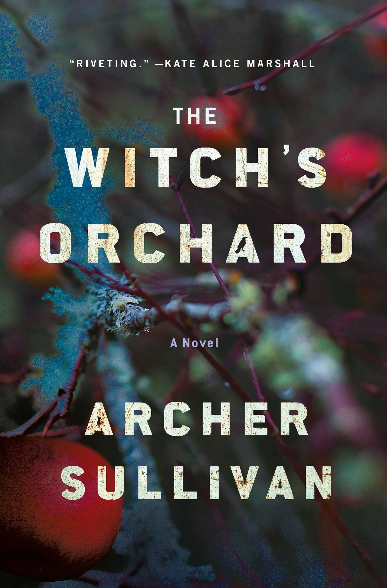 The Witch's Orchard: A Novel