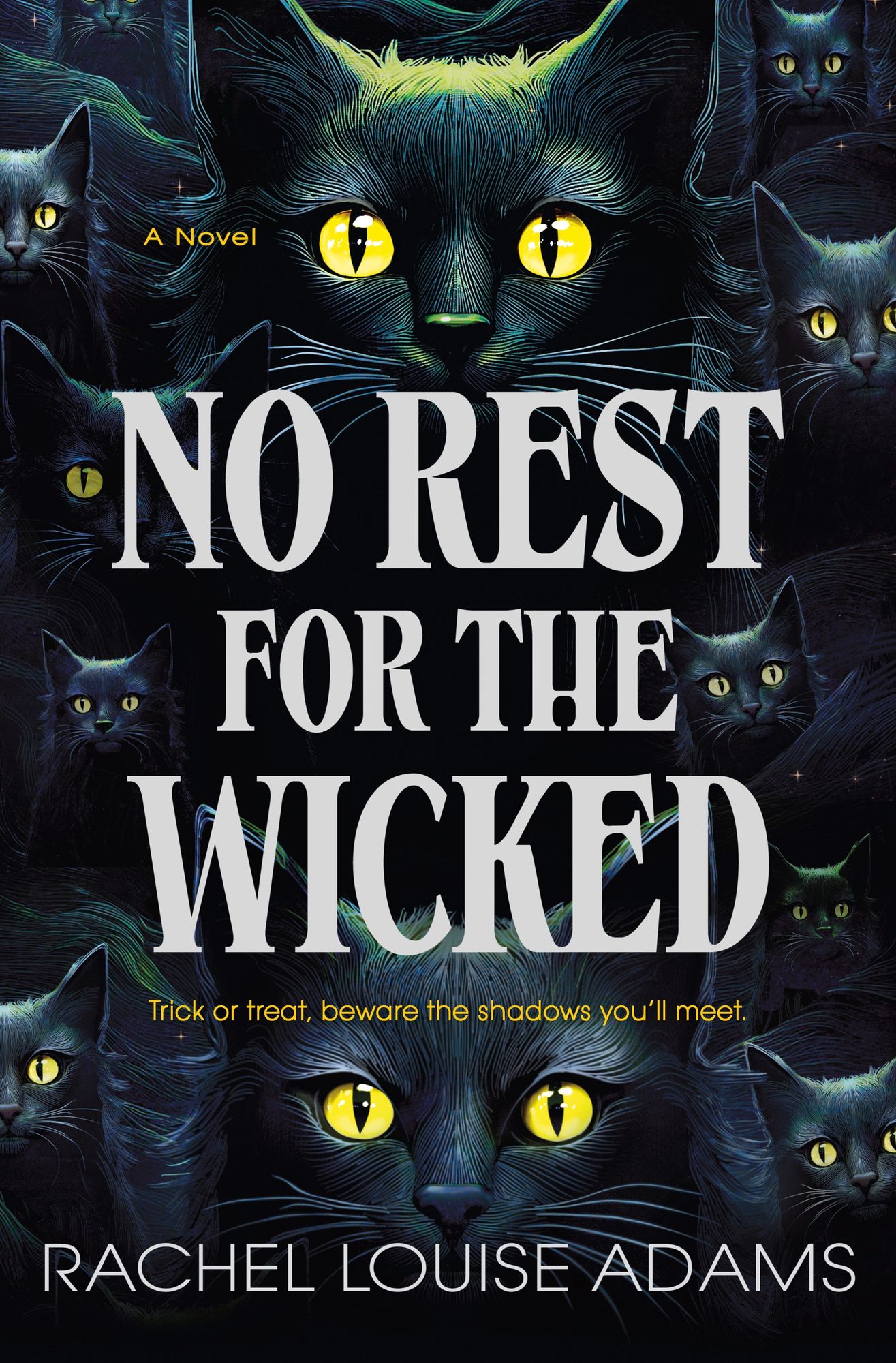 No Rest for the Wicked: A Coldren County Novel