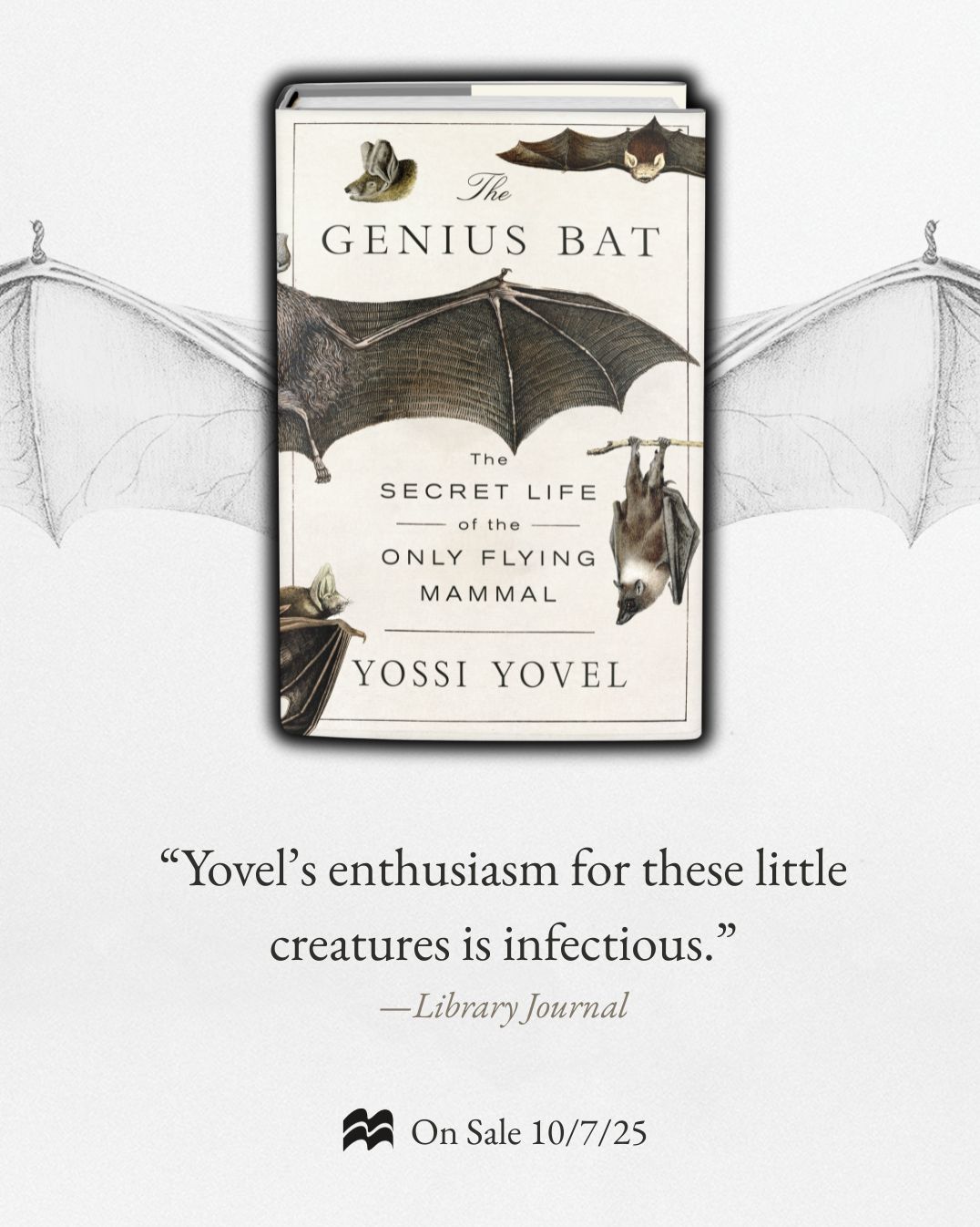 The Genius Bat: The Secret Life of the Only Flying Mammal