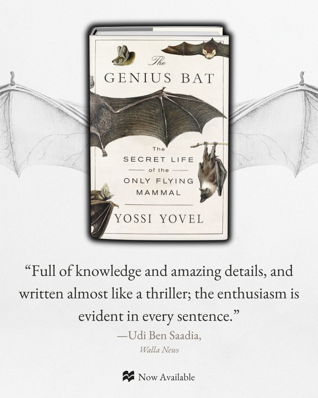 The Genius Bat: The Secret Life of the Only Flying Mammal