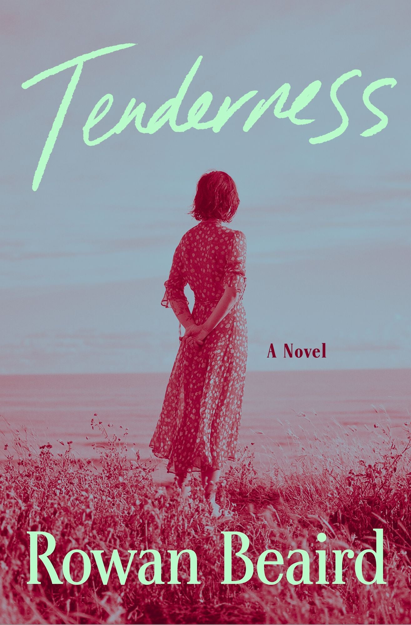 Tenderness: A Novel