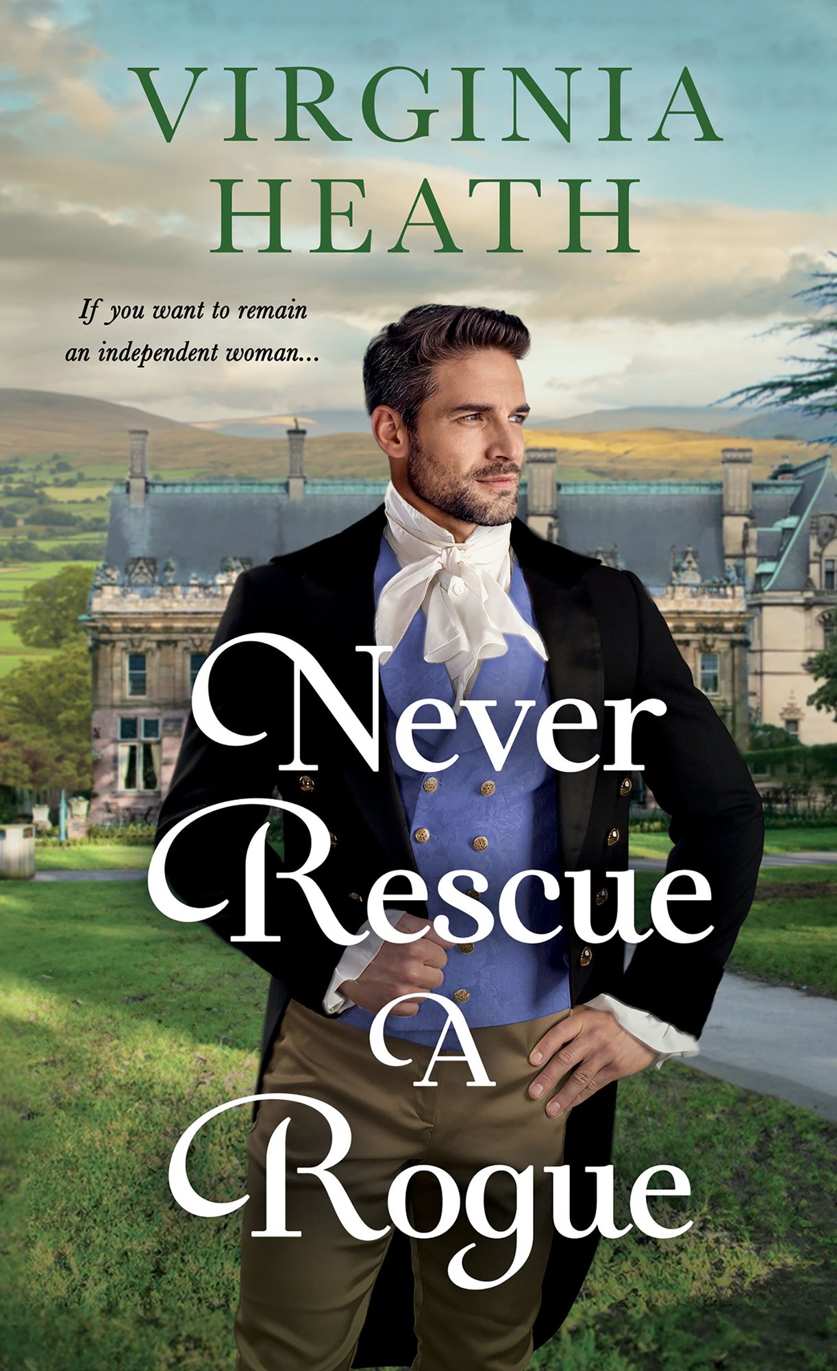 Never Rescue a Rogue: A Novel