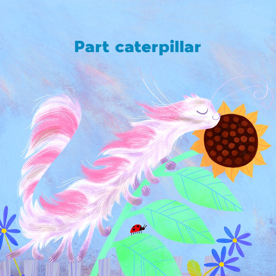 Kitty Caterpillar