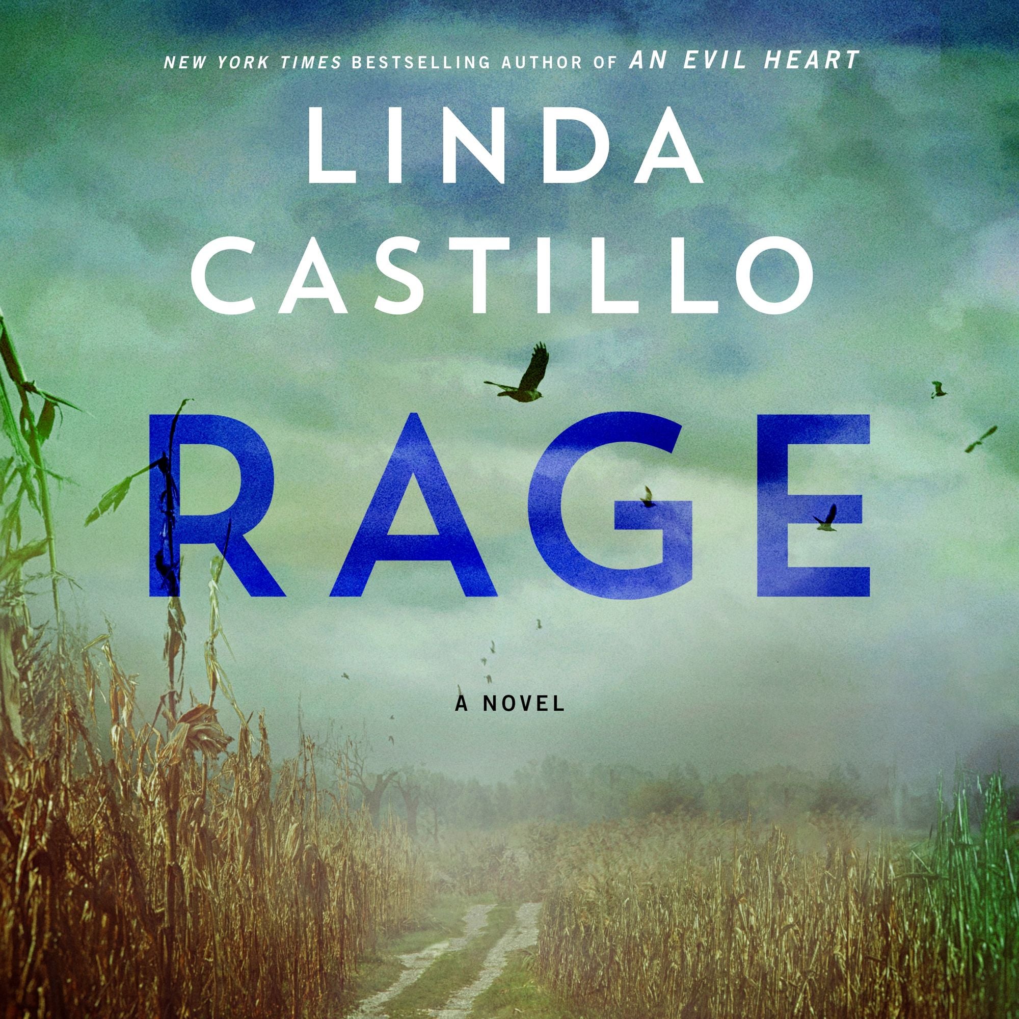 Rage (Kate Burkholder Series #17)