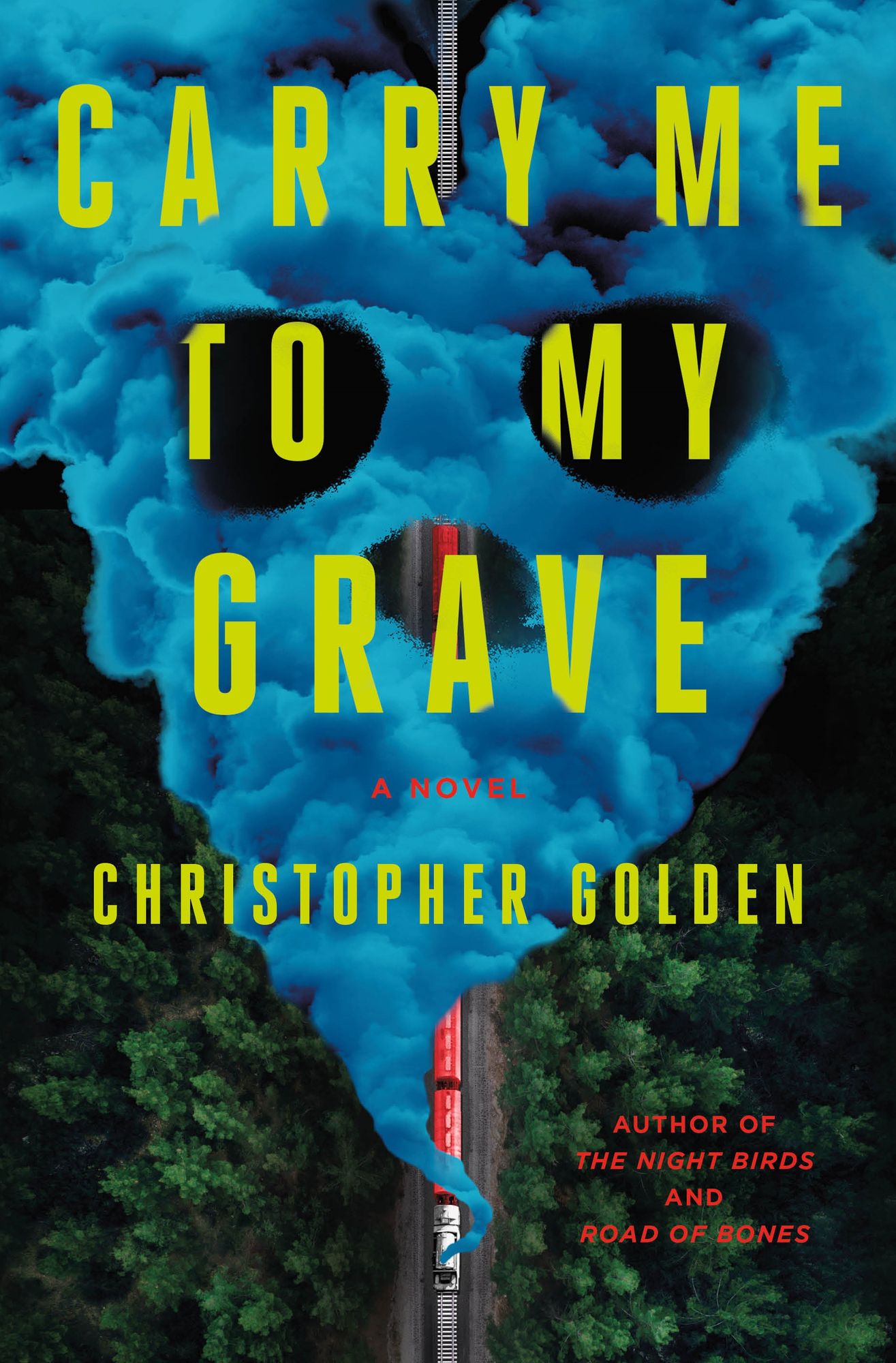 Carry Me to My Grave: A Novel