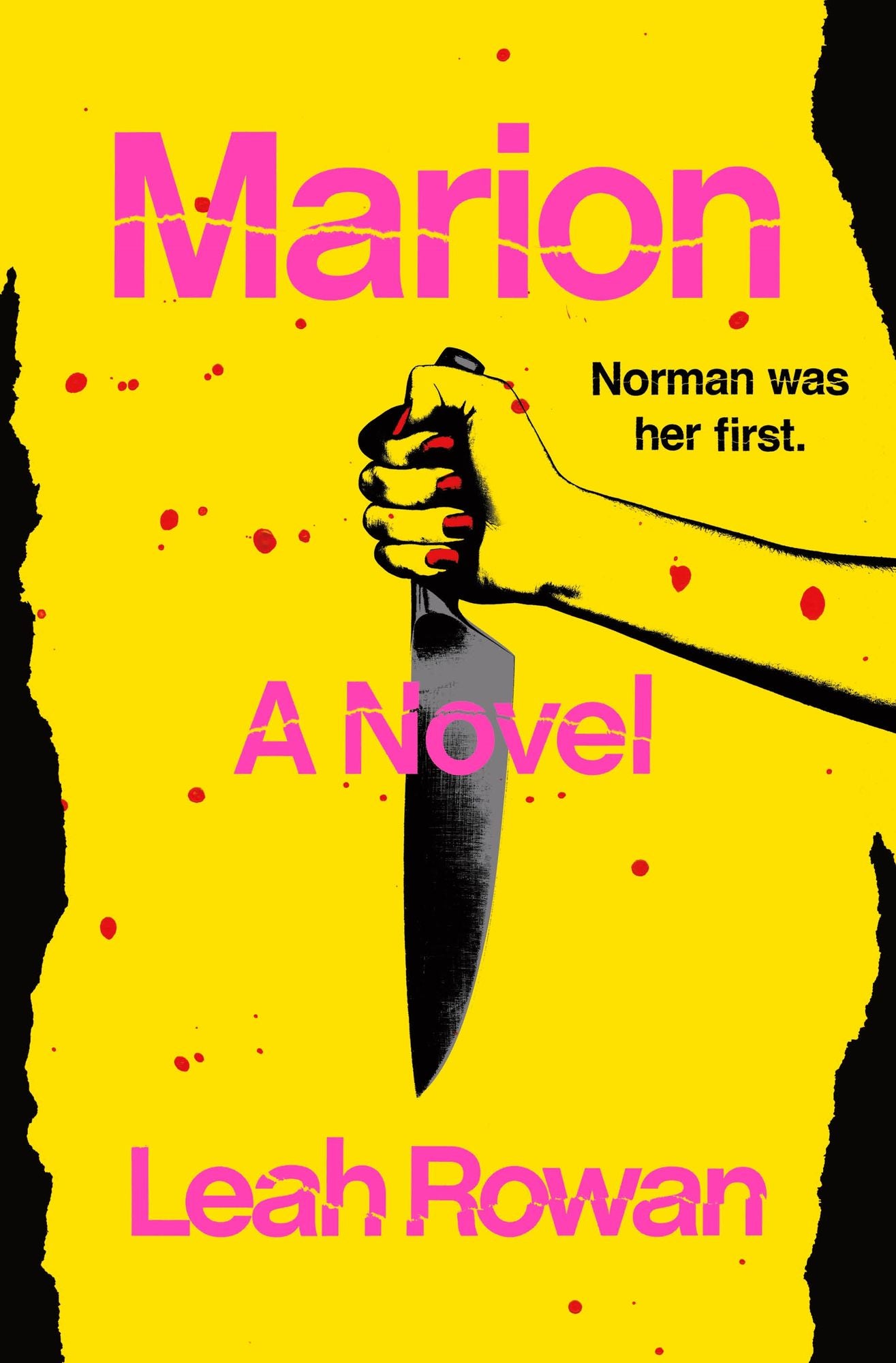 Marion: A Novel