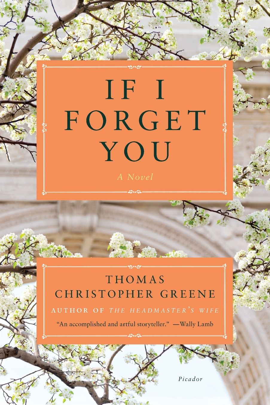If I Forget You: A Novel