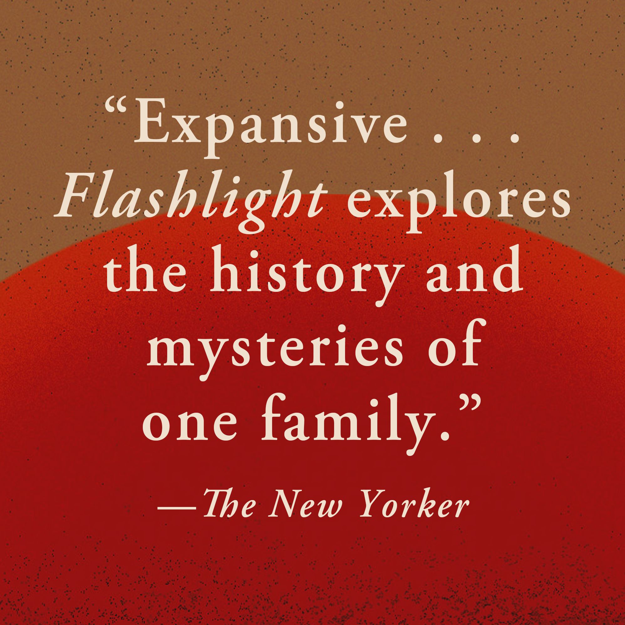 Flashlight: A Novel