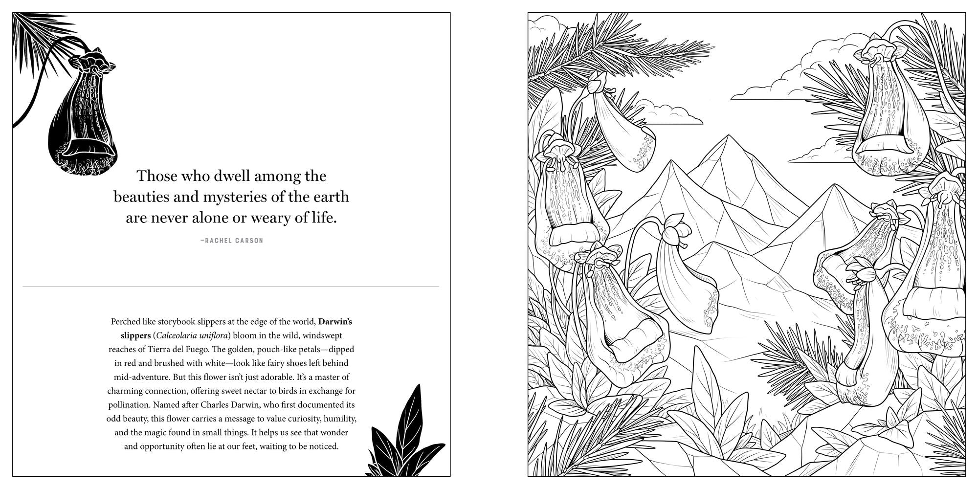 Floriographic: Freaky and Fascinating: An Artist's Coloring Book of Strange Blooms and Botanical Legends