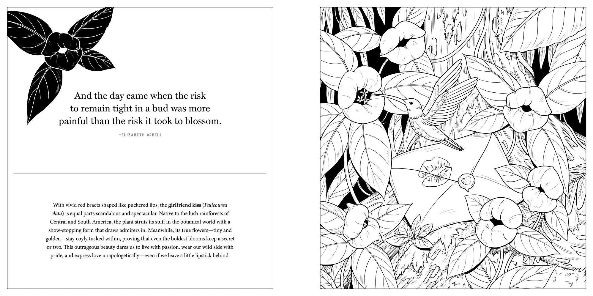 Floriographic: Freaky and Fascinating: An Artist's Coloring Book of Strange Blooms and Botanical Legends