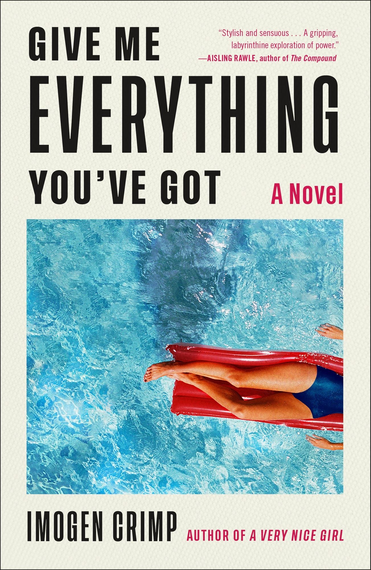 Give Me Everything You've Got: A Novel