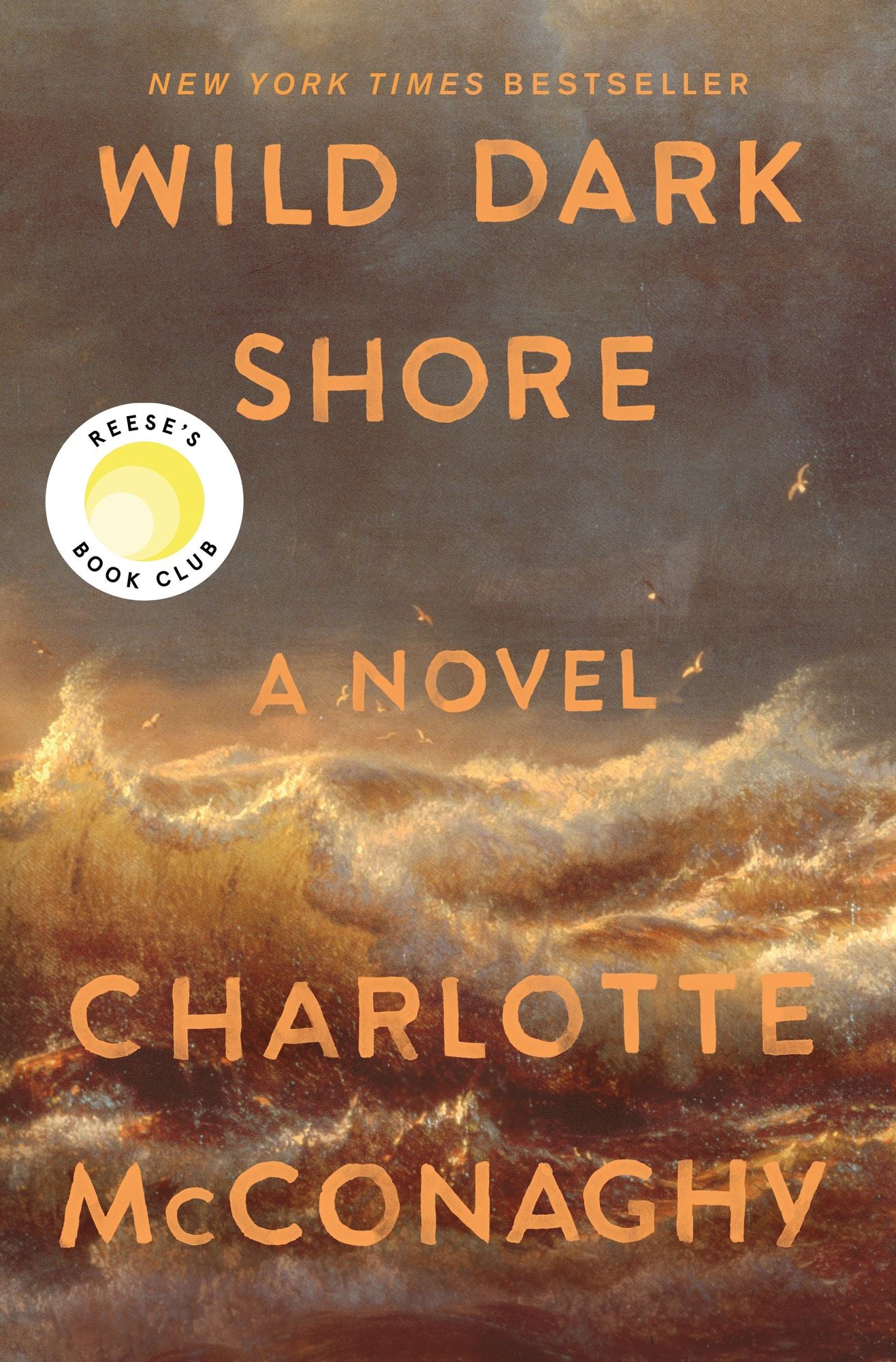 Wild Dark Shore (Reese's Book Club Pick)