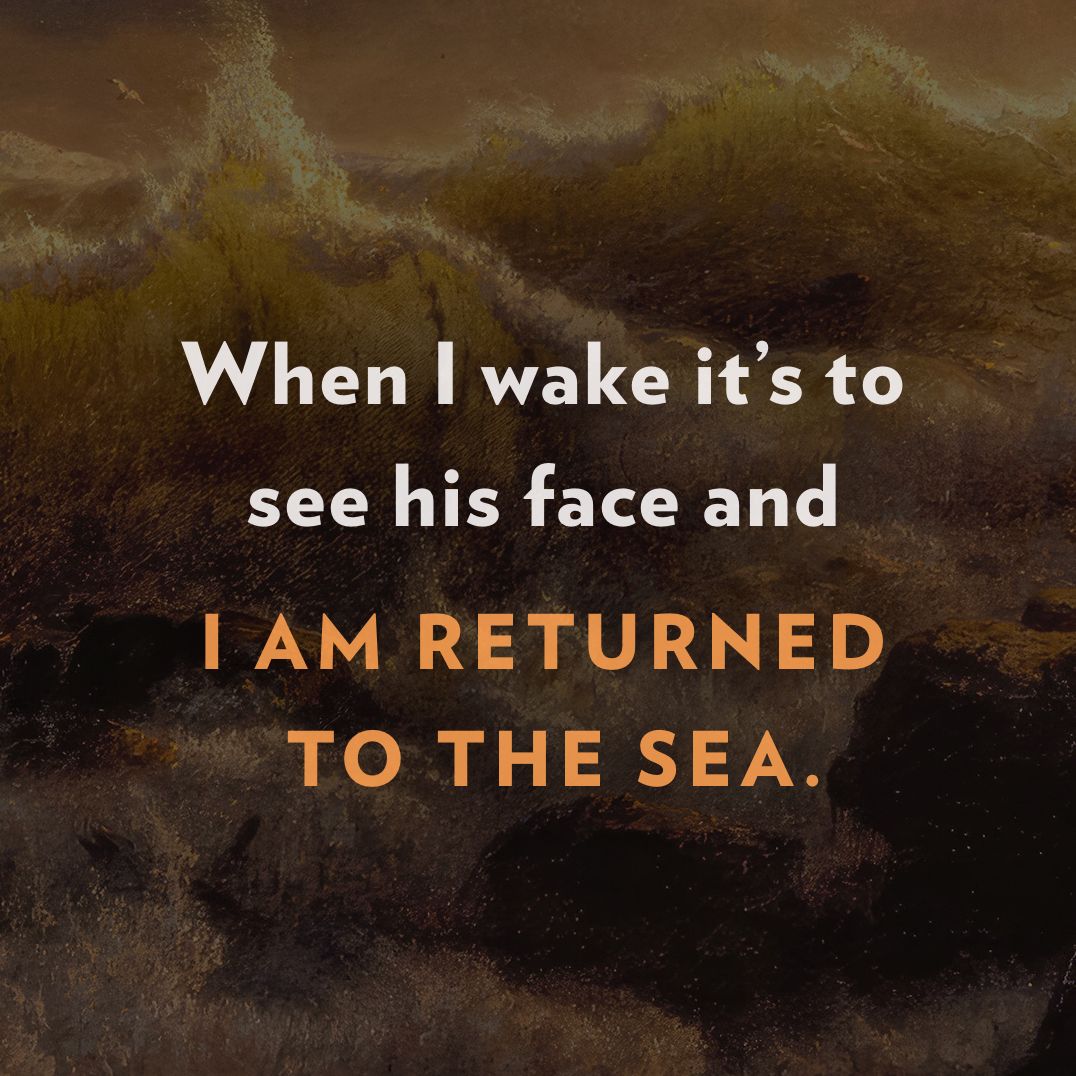 Wild Dark Shore (Reese's Book Club Pick)