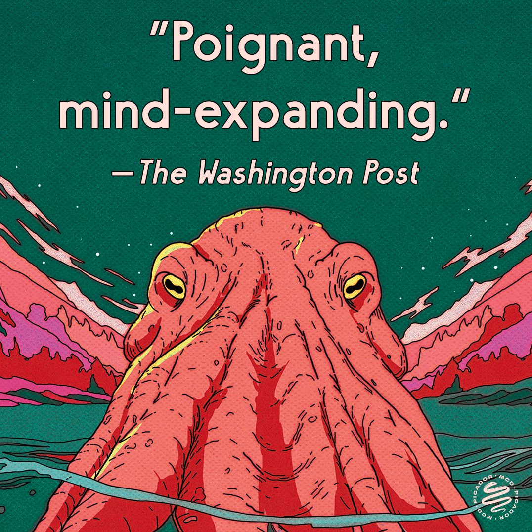 The Mountain in the Sea: A Novel