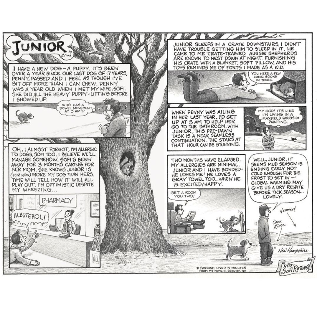 You Can Never Die: A Graphic Memoir