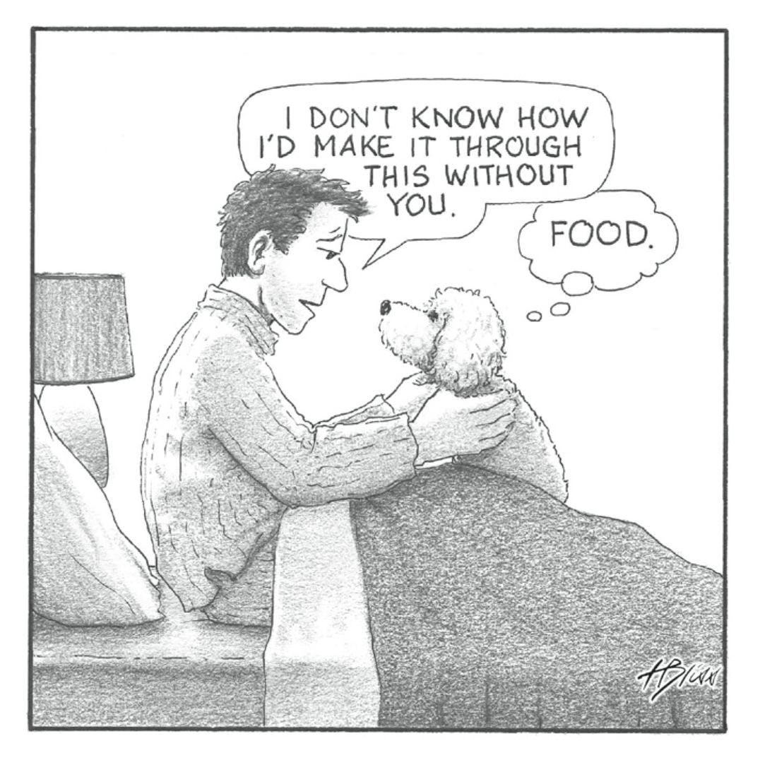 You Can Never Die: A Graphic Memoir
