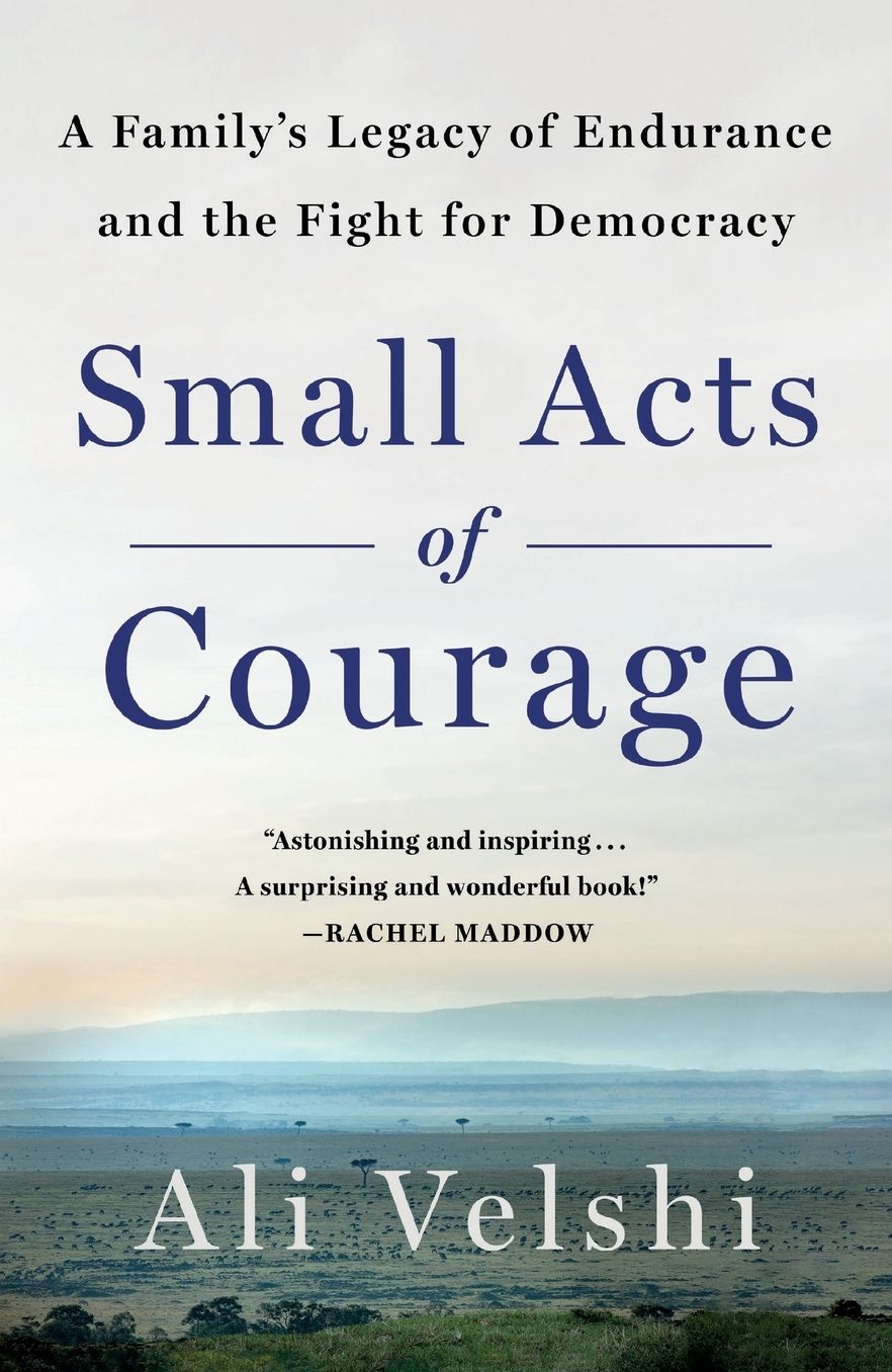 Small Acts of Courage: A Family's Legacy of Endurance and the Fight for Democracy