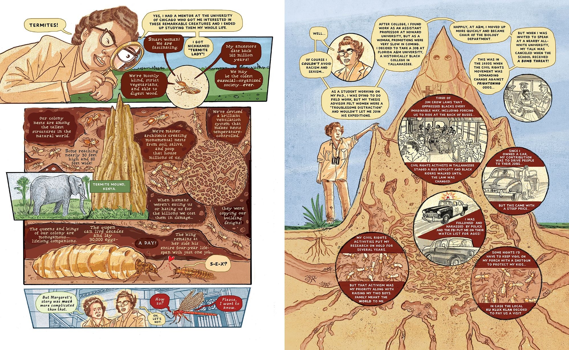 Insectopolis: A Natural History