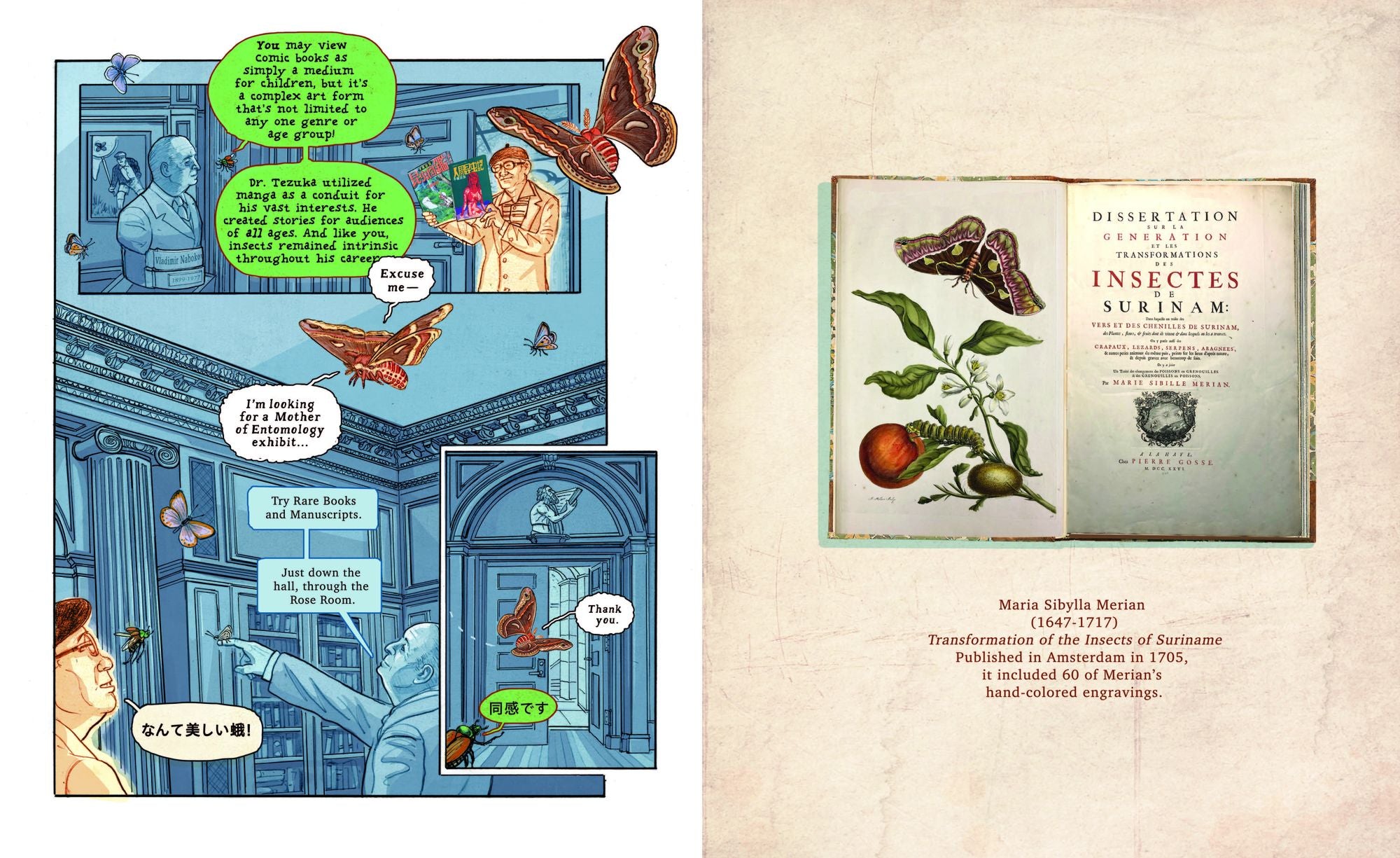 Insectopolis: A Natural History