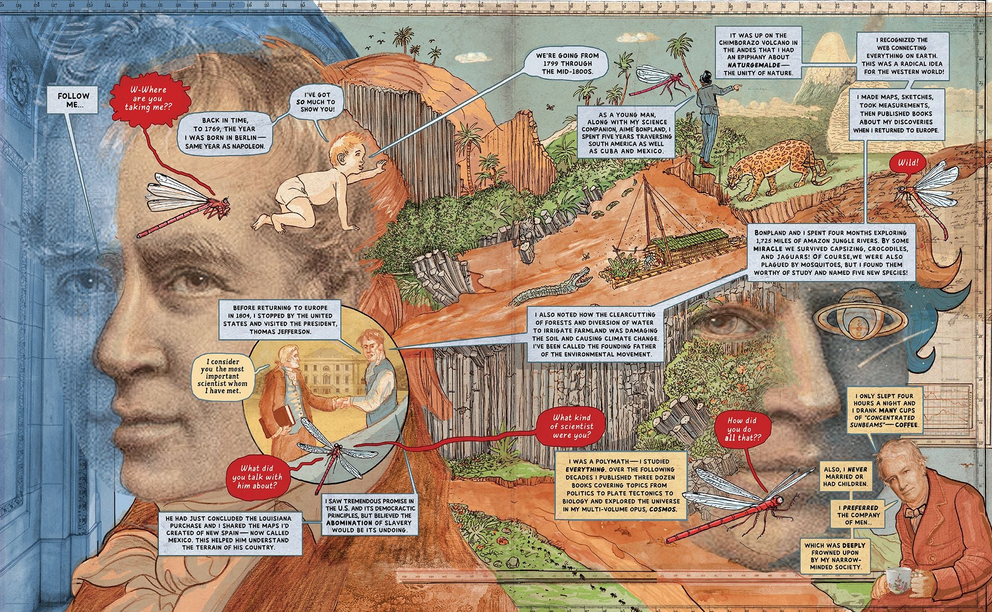 Insectopolis: A Natural History