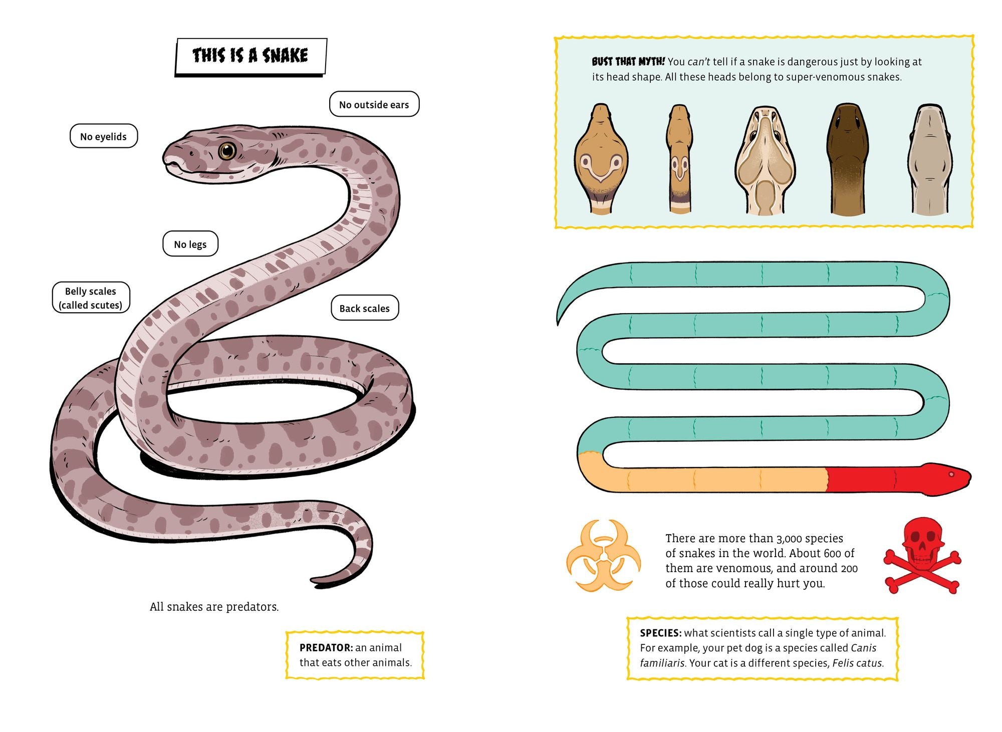 The Deadliest: Snake
