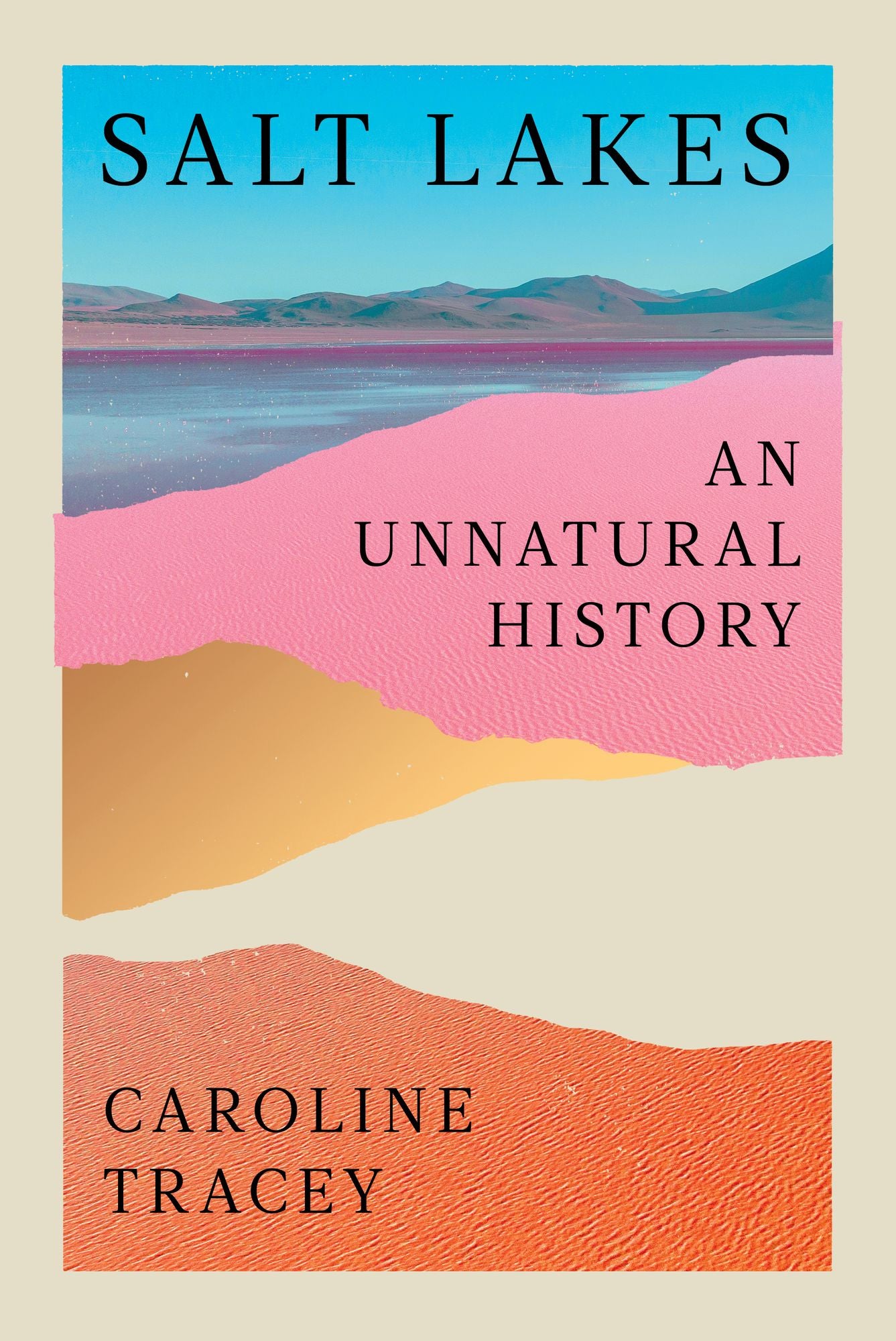 Salt Lakes: An Unnatural History