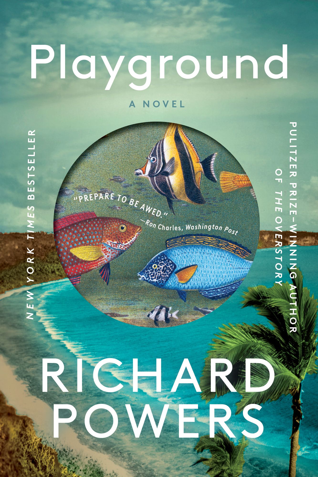 Playground: A Novel