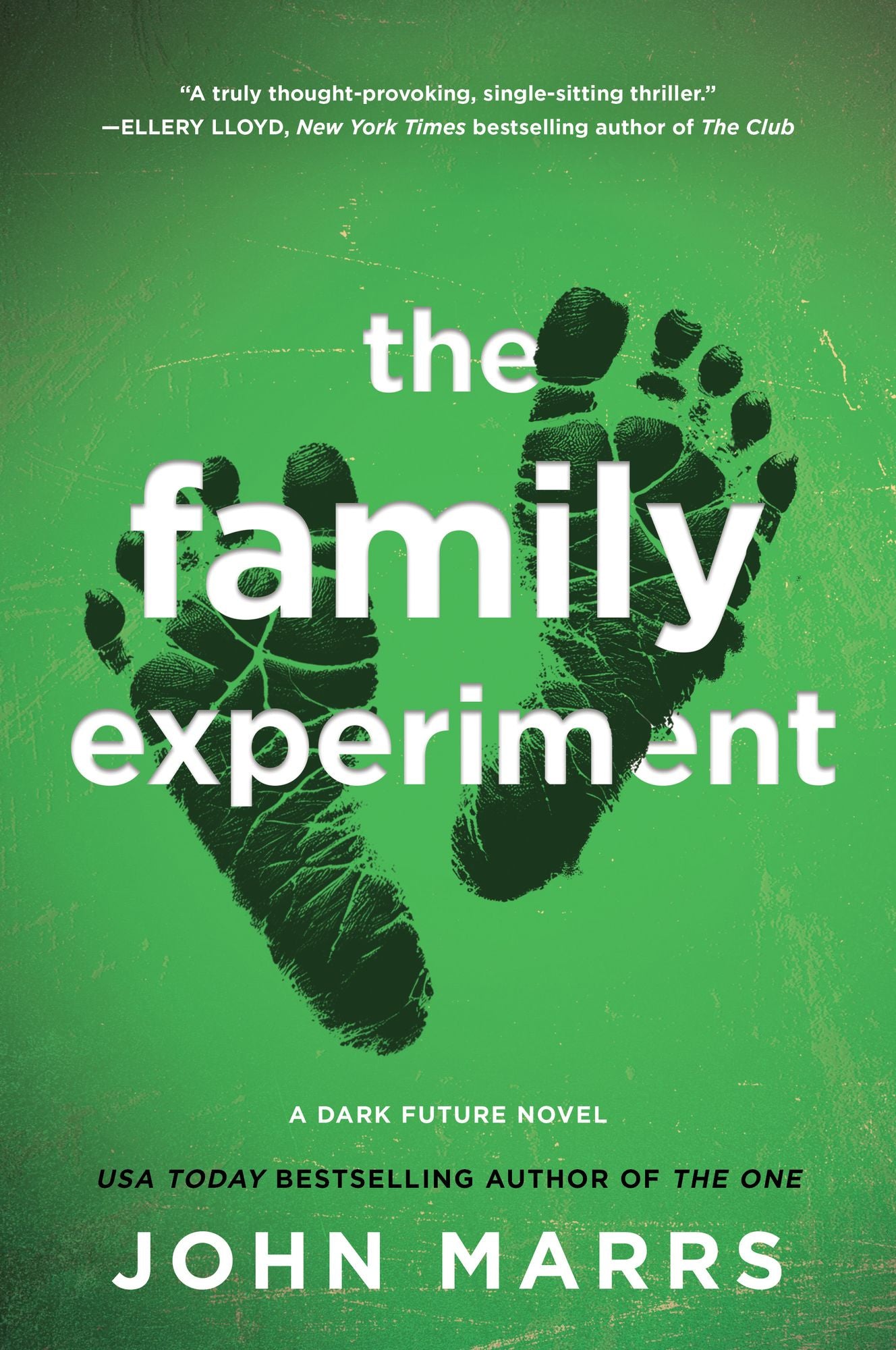 The Family Experiment: A Novel
