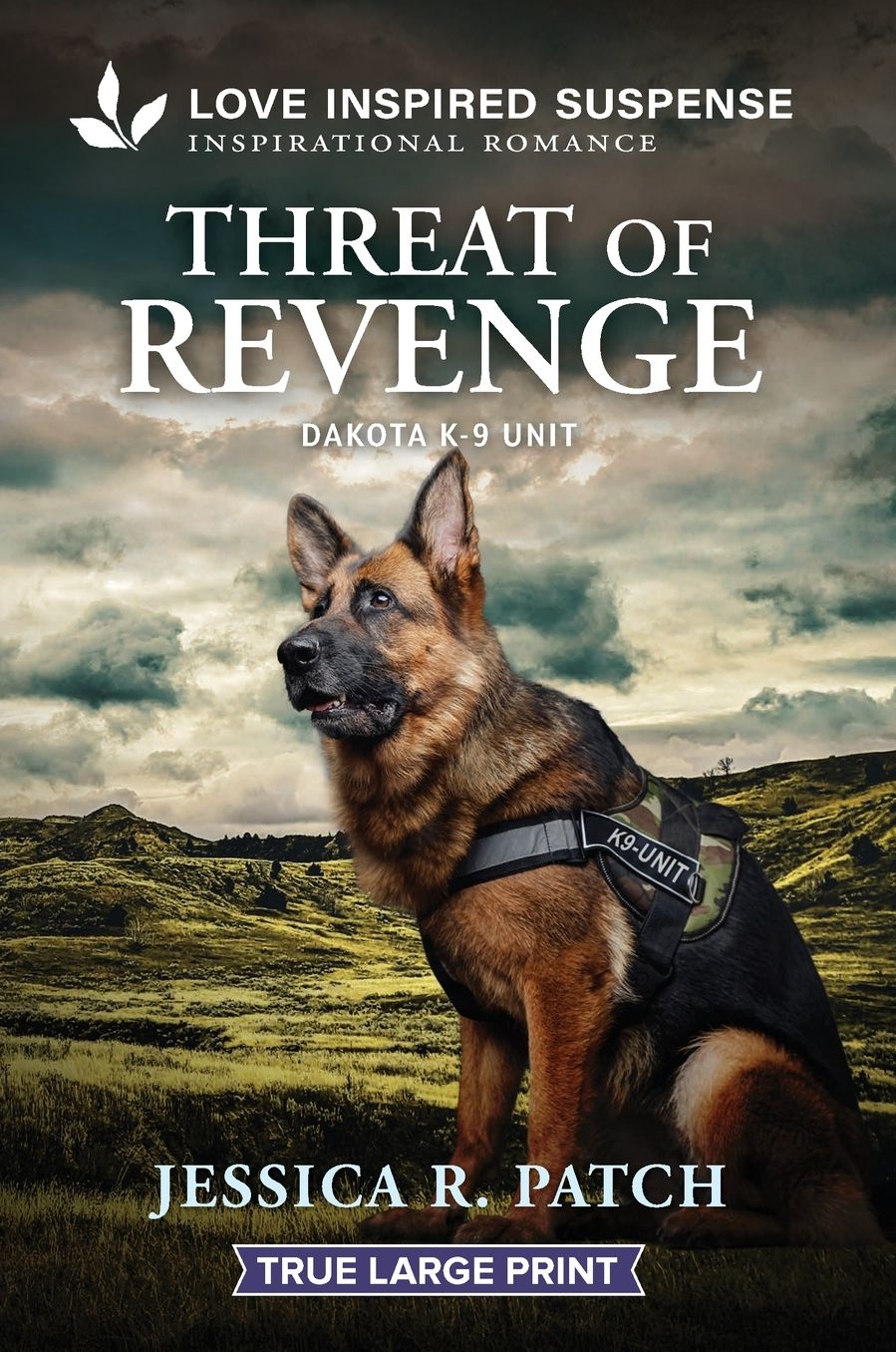 Threat of Revenge