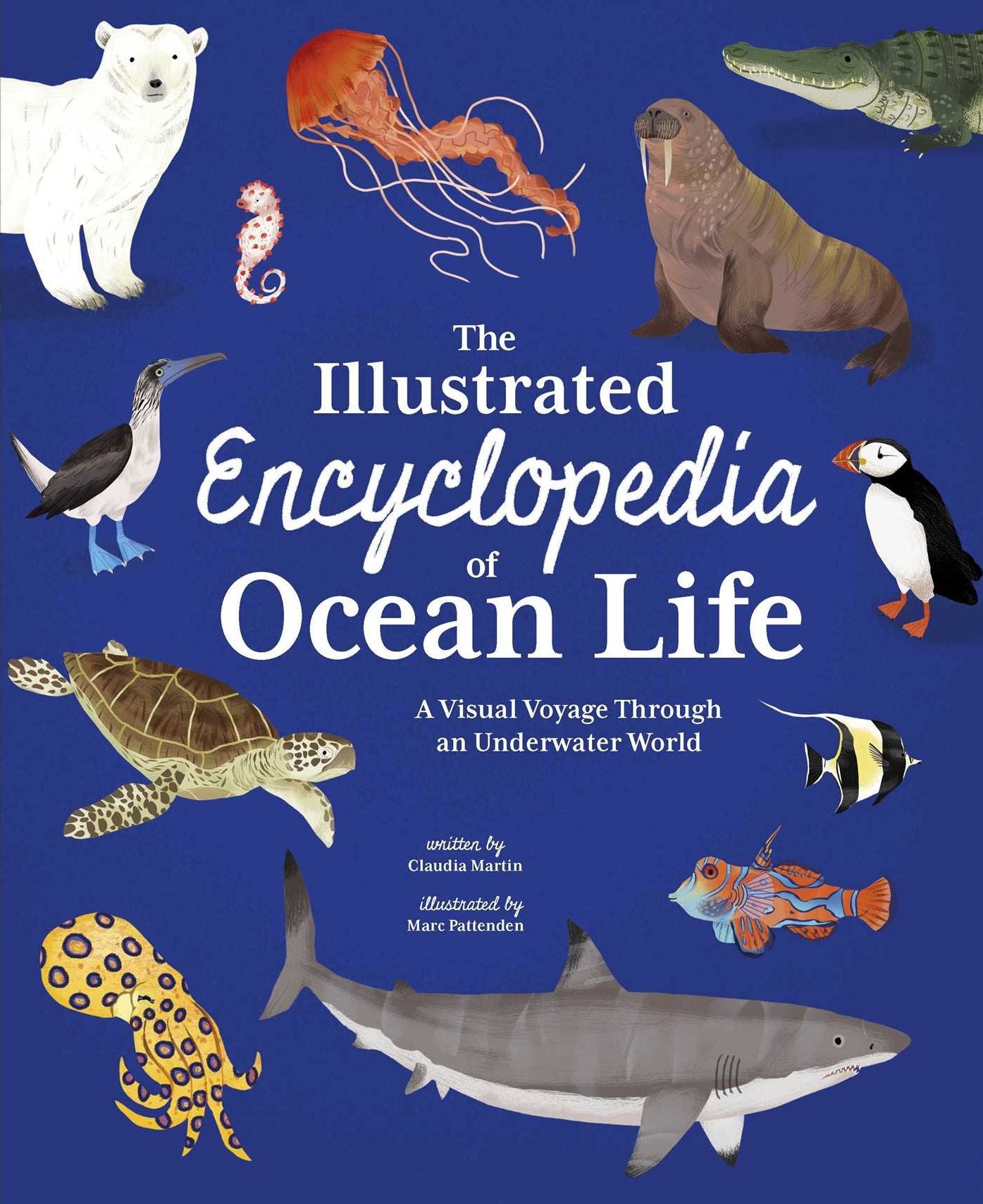 The Illustrated Encyclopedia of Ocean Life: A Visual Voyage Through an Underwater World