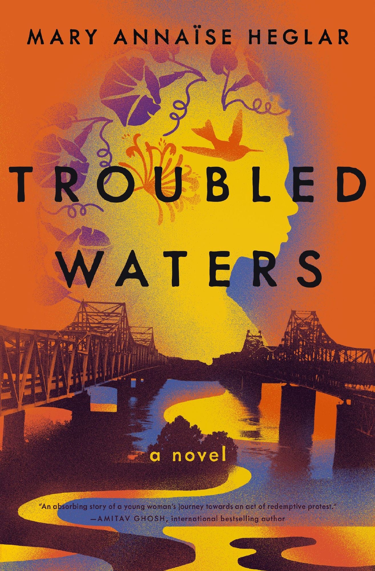 Troubled Waters: A Novel