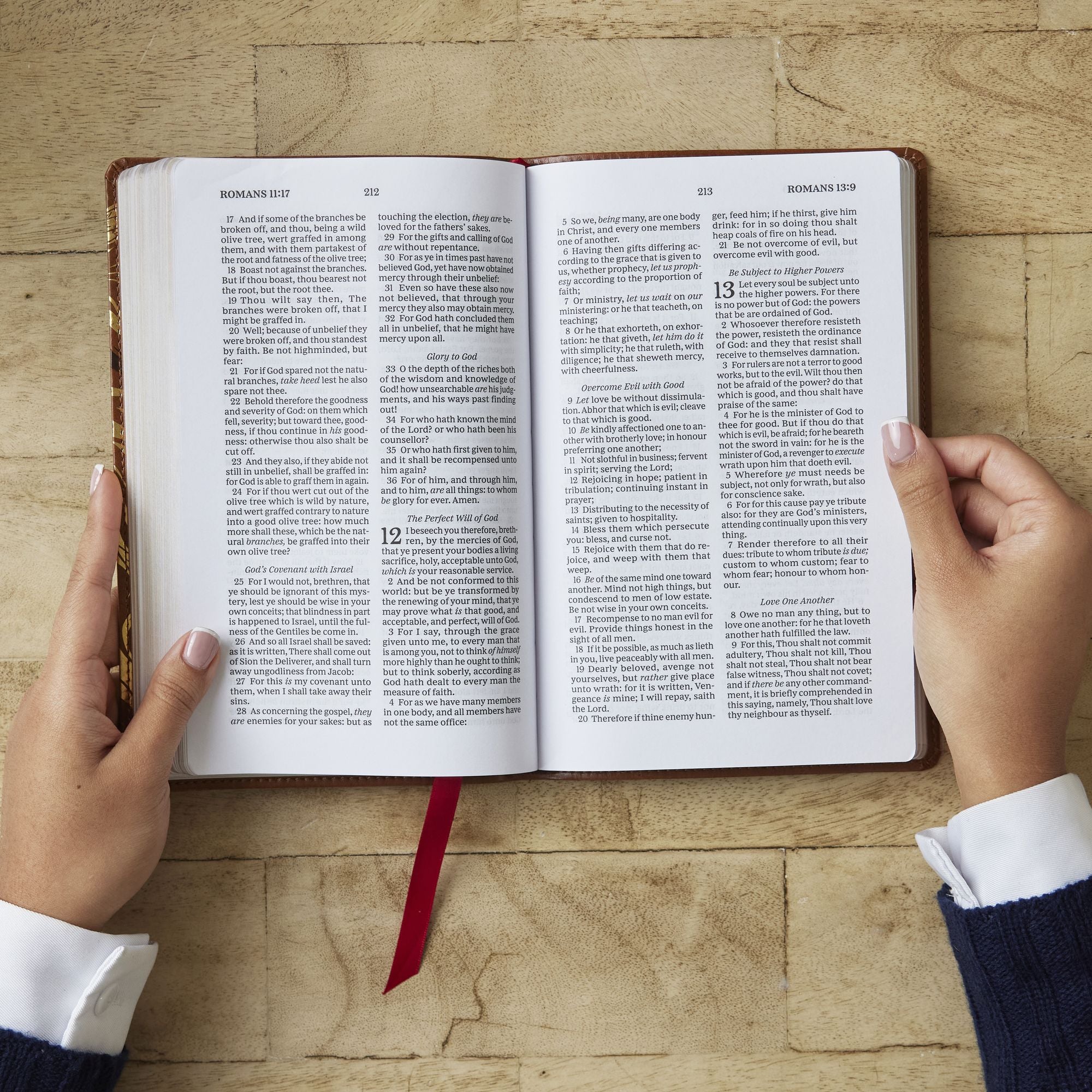 KJV, Personal Size New Testament, Tan Leathersoft, Red Letter, Comfort Print