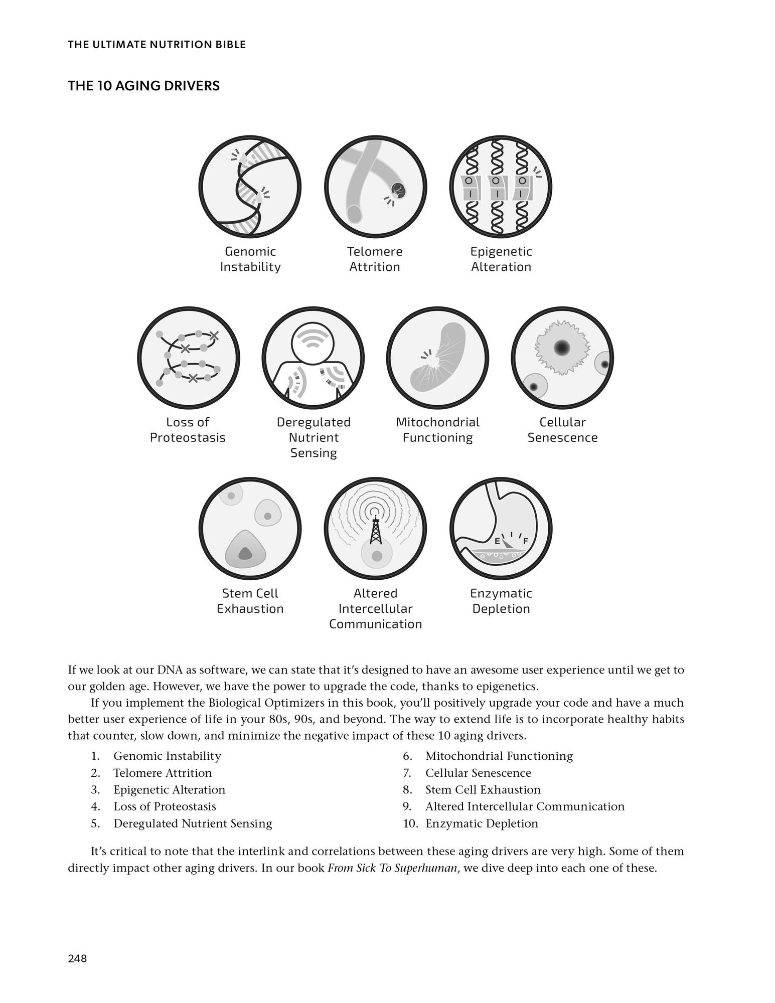 The Ultimate Nutrition Bible: Easily Create the Perfect Diet that Fits Your Lifestyle, Goals, and Genetics